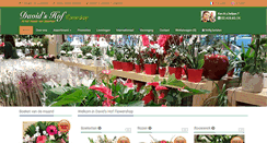 Desktop Screenshot of davidshof.be